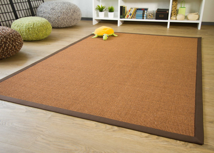 Sisal Carpet