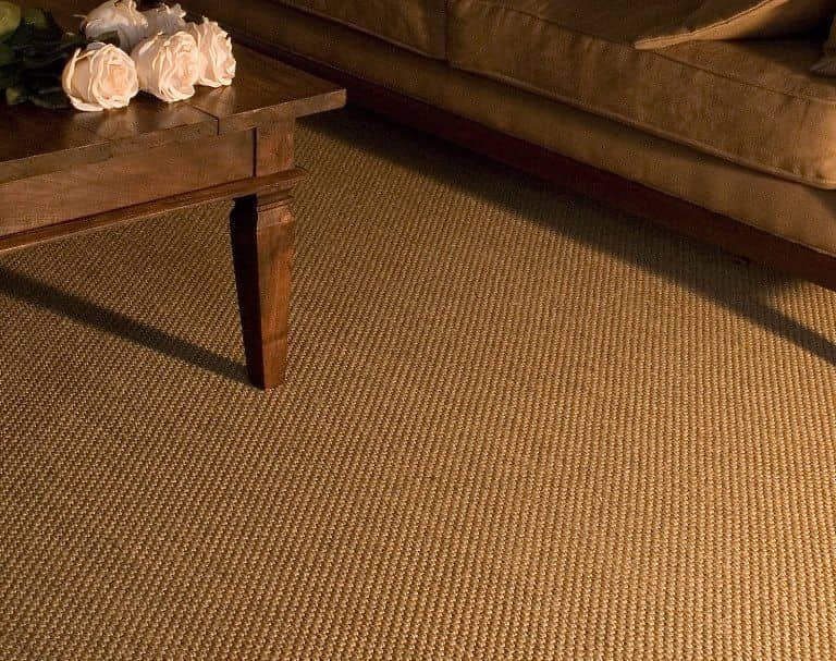 Sisal Carpet