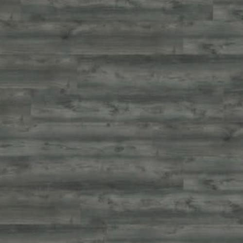 MS-F179