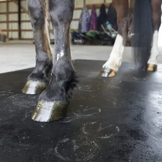 horse stall mats
